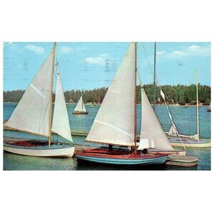 Postcard Chrome era sailing Long Island waters sail boats 1955